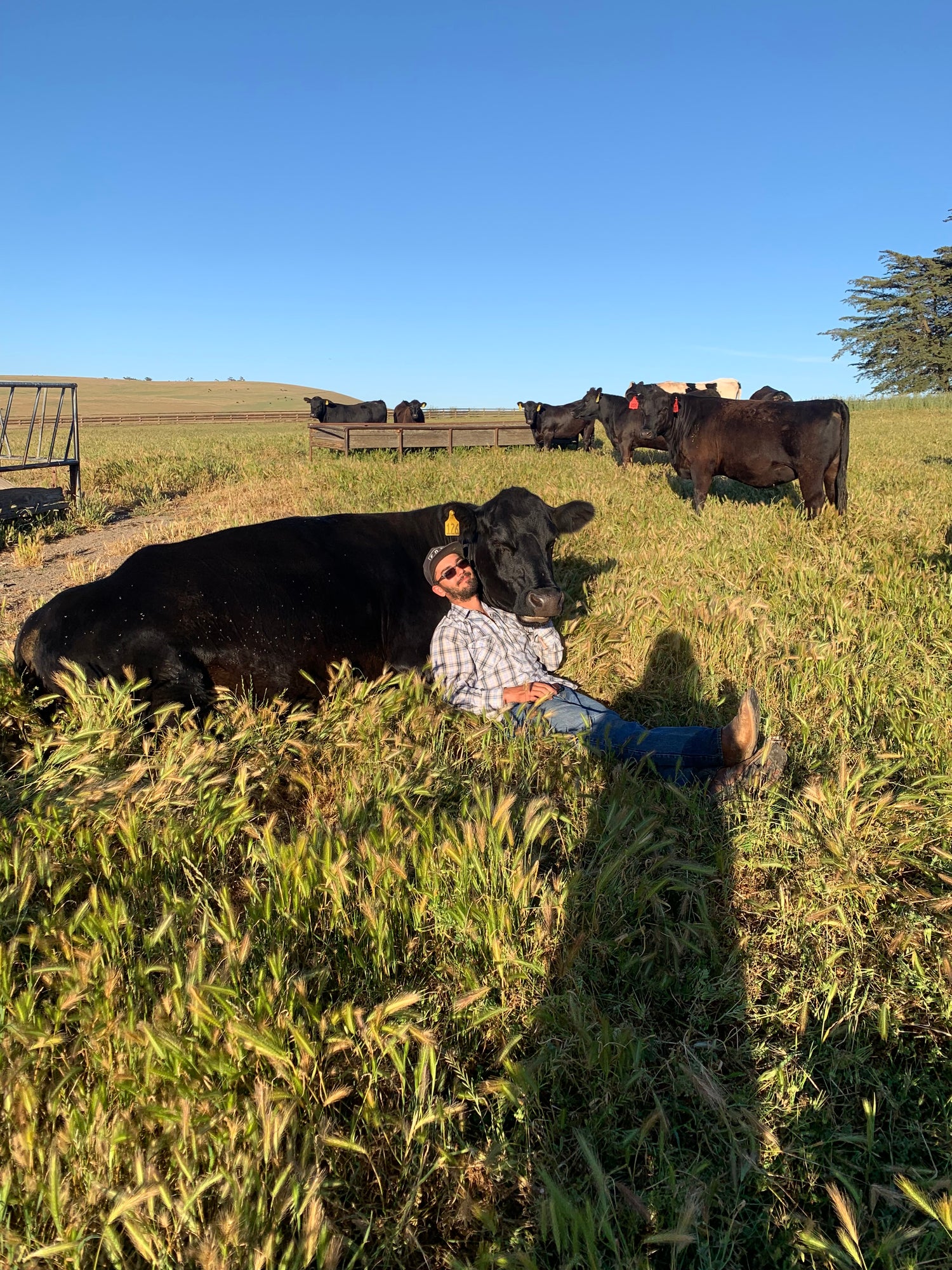 Ranch Picnic Experience