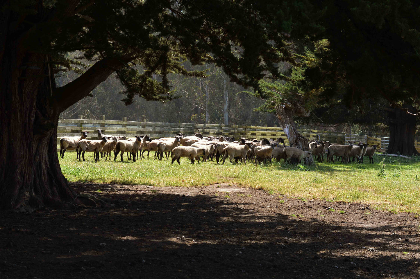 Ranch Tour