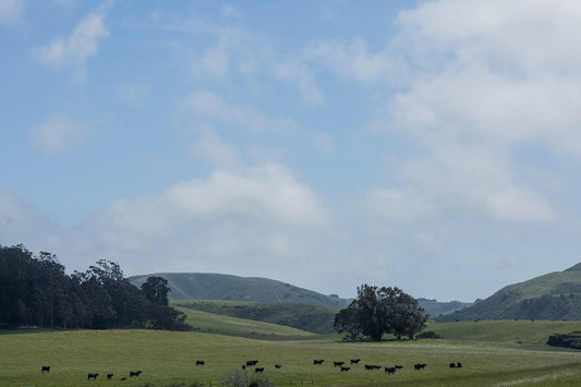 Private Ranch Picnic Experience